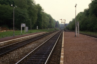 Saint-Vincent-Bellefontaine - TH 84-7214 (2).jpg